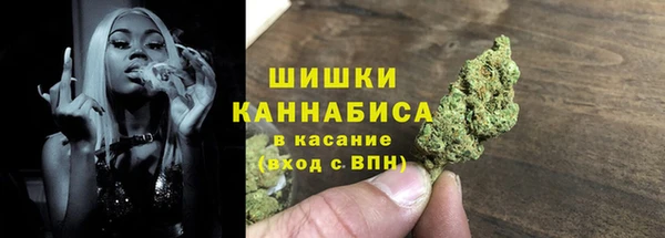 твердый Богородицк