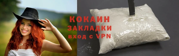 твердый Богородицк